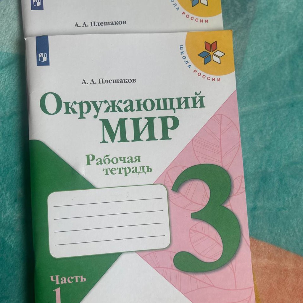 Рабочие тетради