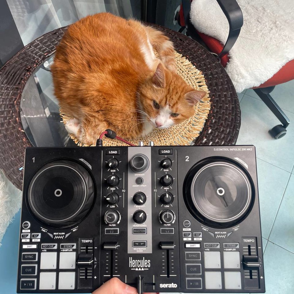 Контроллер Hercules DJControl Inpulse 200 MK2