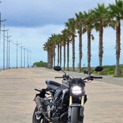 Honda CB300R 2024 - фото 4