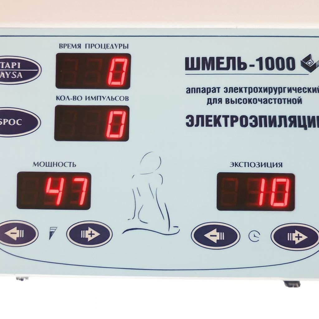 Шмель-1000