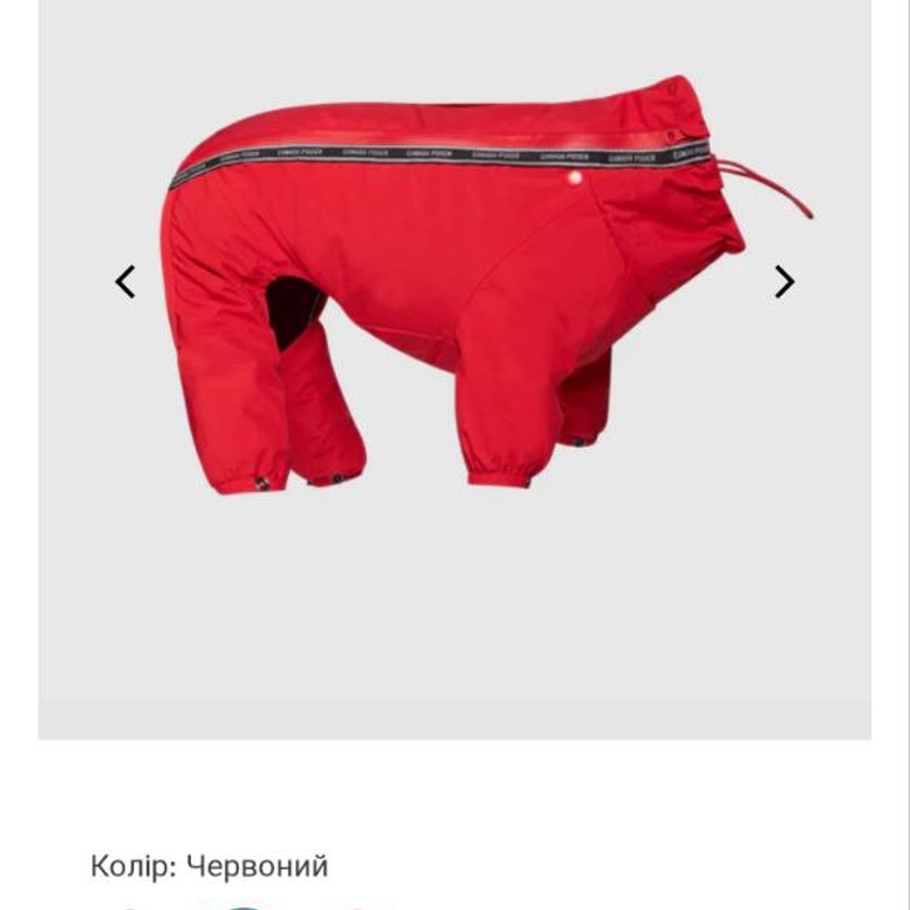 The Snow Suit