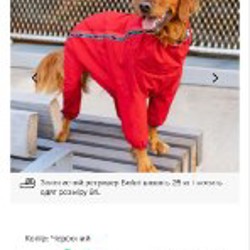 The Snow Suit - фото 2