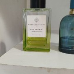 Versace - фото 4