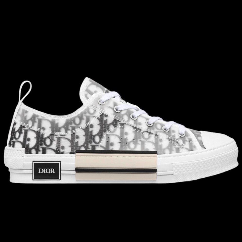 DIOR B23