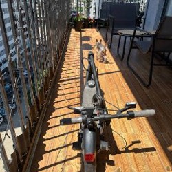 Ninebot KickScooter F25I - фото 2
