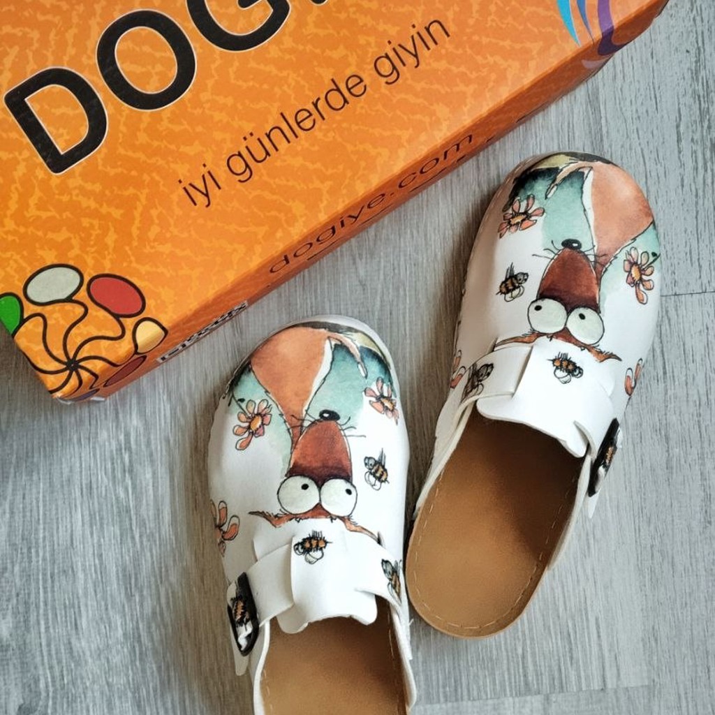 Обувь Dogiye