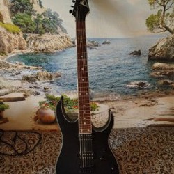 Электрогитара Ibanez RG421EX BKF - фото 6