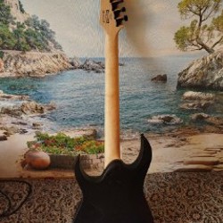 Электрогитара Ibanez RG421EX BKF - фото 7