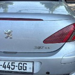Peugeot 307 CC Cabriolet 2.0 - фото 5