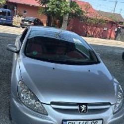 Peugeot 307 CC Cabriolet 2.0 - фото 6