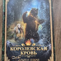 Книга - фото 2