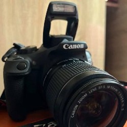 Canon EOS 2000D - фото 2