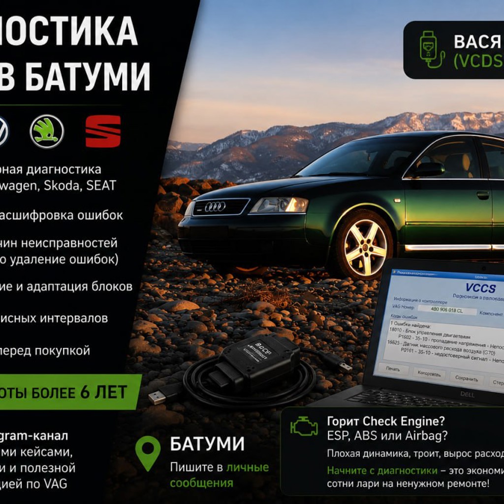 Диагностика VAG