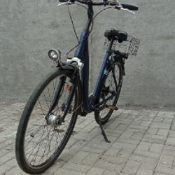 Чистокровный конь - фото 3