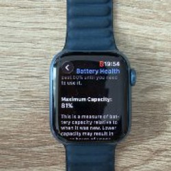 Apple Watch Series 7 41mm Blue - фото 3
