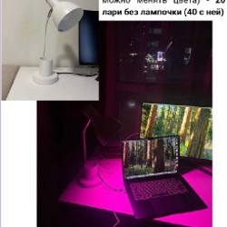 Монитор ASUS 24-inch - фото 6
