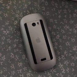 Magic Mouse - фото 1