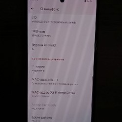Google Pixel 6 - фото 4