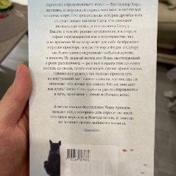 Хроники странствующего кота - фото 2