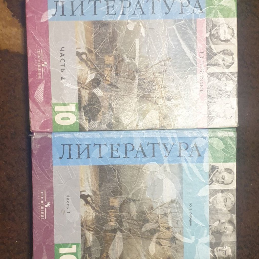 Литература 8 класс