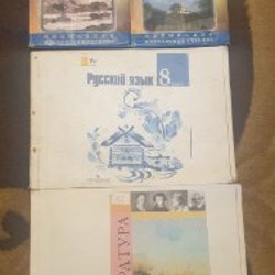 Литература 8 класс - фото 2