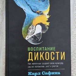 Космос - фото 2