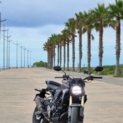 Honda CB300R 2024 - фото 2