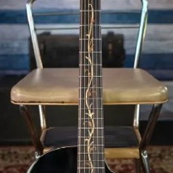 Электроакустическая гитара Washburn Bella Tono Vite S9V - фото 2
