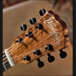 Электроакустическая гитара Washburn Bella Tono Vite S9V - фото 4