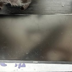 Наушники HyperX Cloud 3 - фото 1