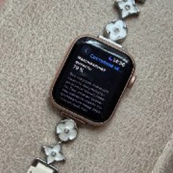 Apple Watch SE 40mm - фото 10