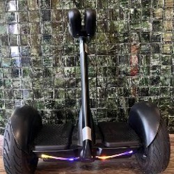 Героскутор Xiaomi Ninebot Mini - фото 3