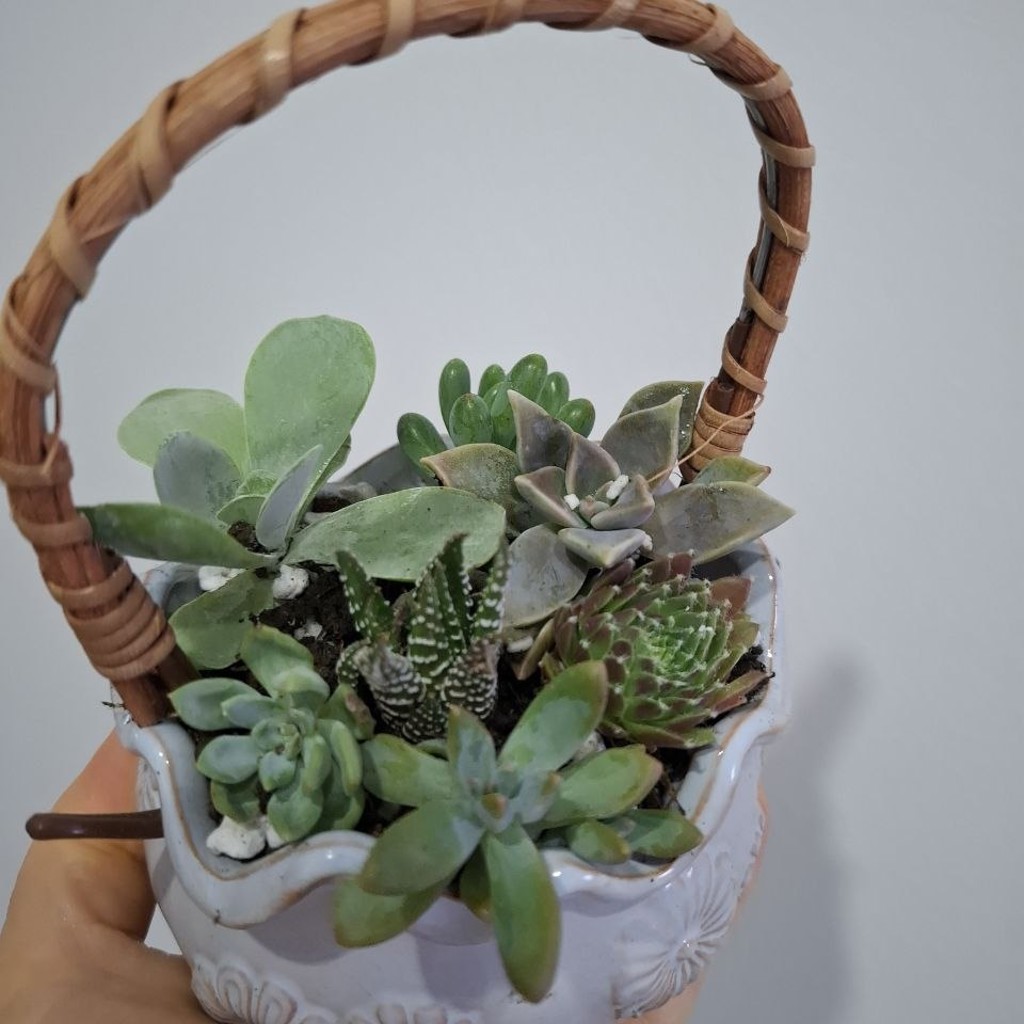 Корзинка новая