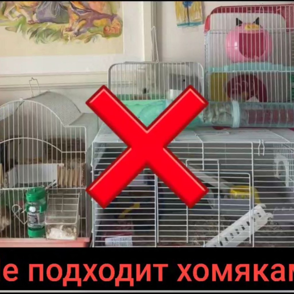 Контейнер для хомяка