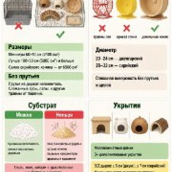 Контейнер для хомяка - фото 2