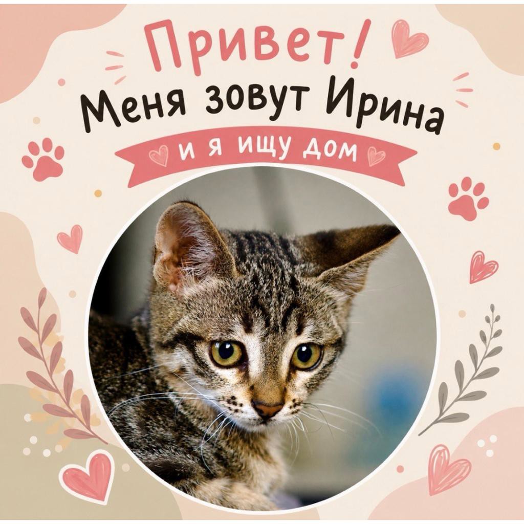 Ирина