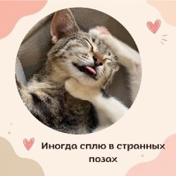 Ирина - фото 2