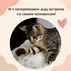 Ирина - фото 3