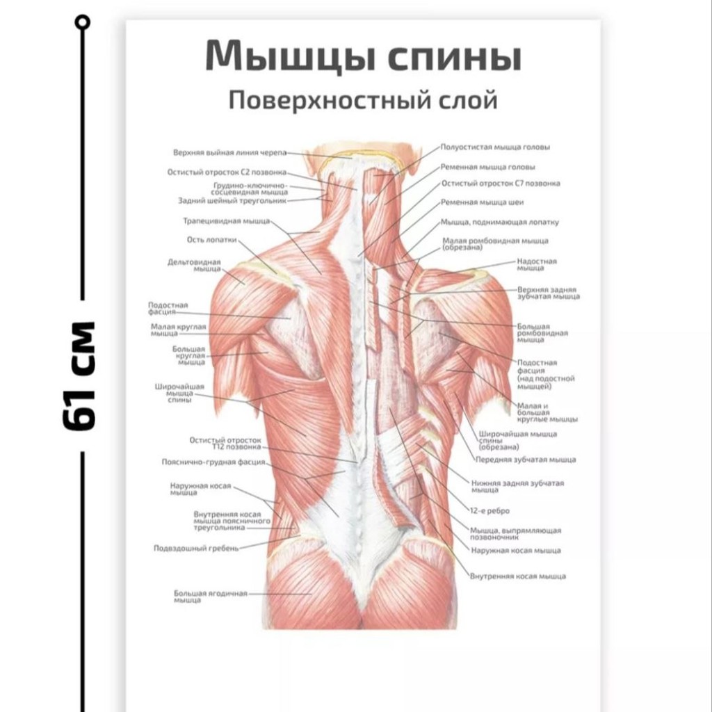 Настенные плакаты