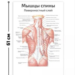 Настенные плакаты - фото 1