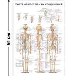 Настенные плакаты - фото 2