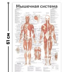 Настенные плакаты - фото 3