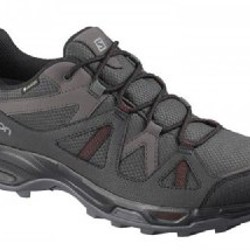 Ботинки Salomon Rhossili GTX - фото 2