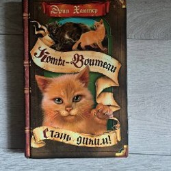 Все 14 книг - фото 5