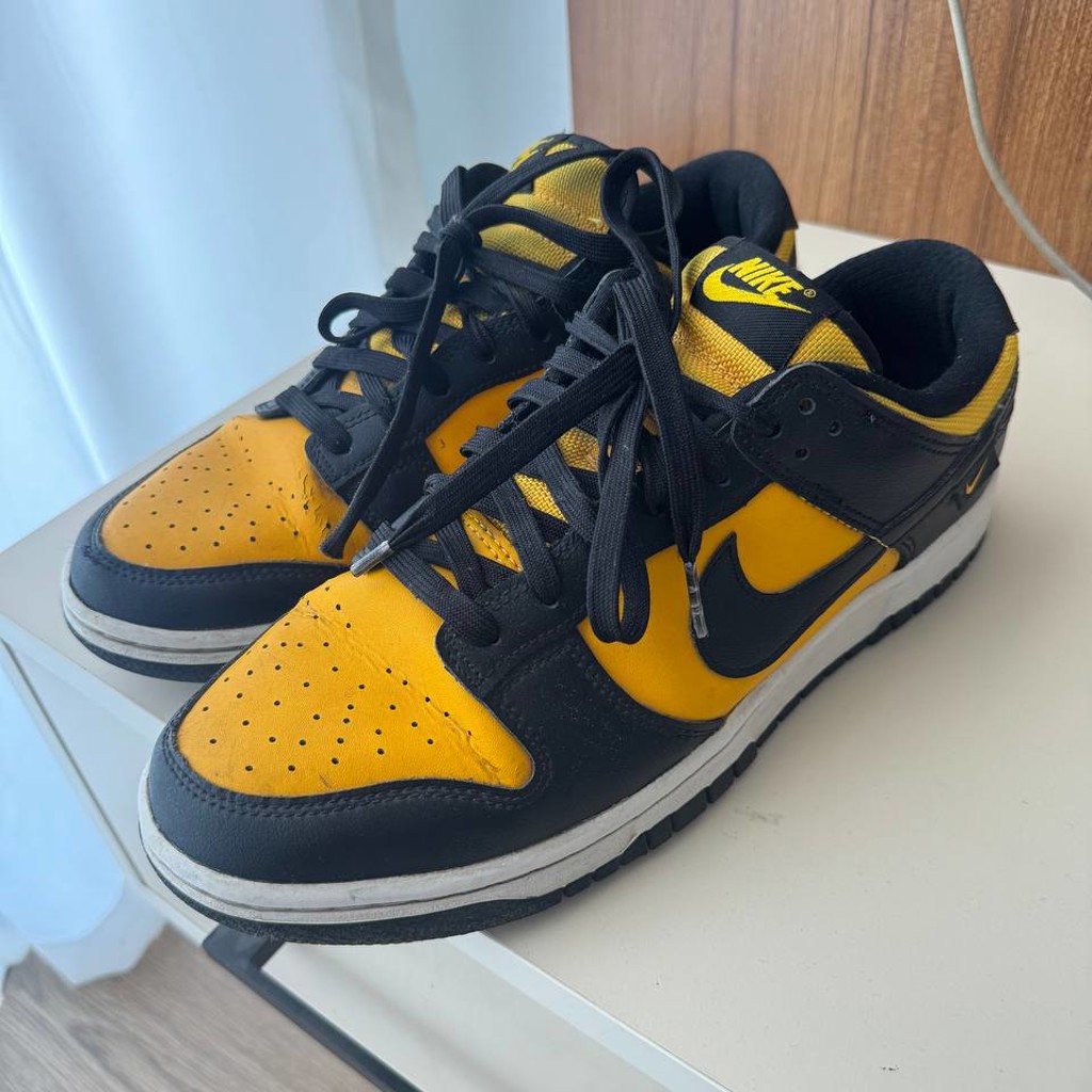 Nike Dunk