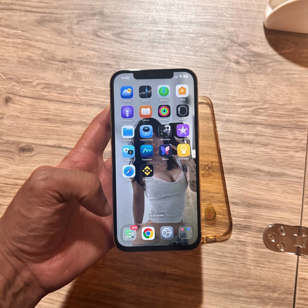 IPhone 12 Pro Max