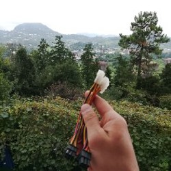 Видеокарта gtx 630 - фото 2