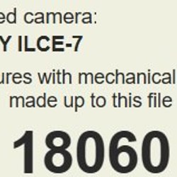 Sony α7 (ILCE-7) + Sony FE 28–70mm OSS - фото 5