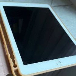 Apple iPad 6-го поколения - фото 2