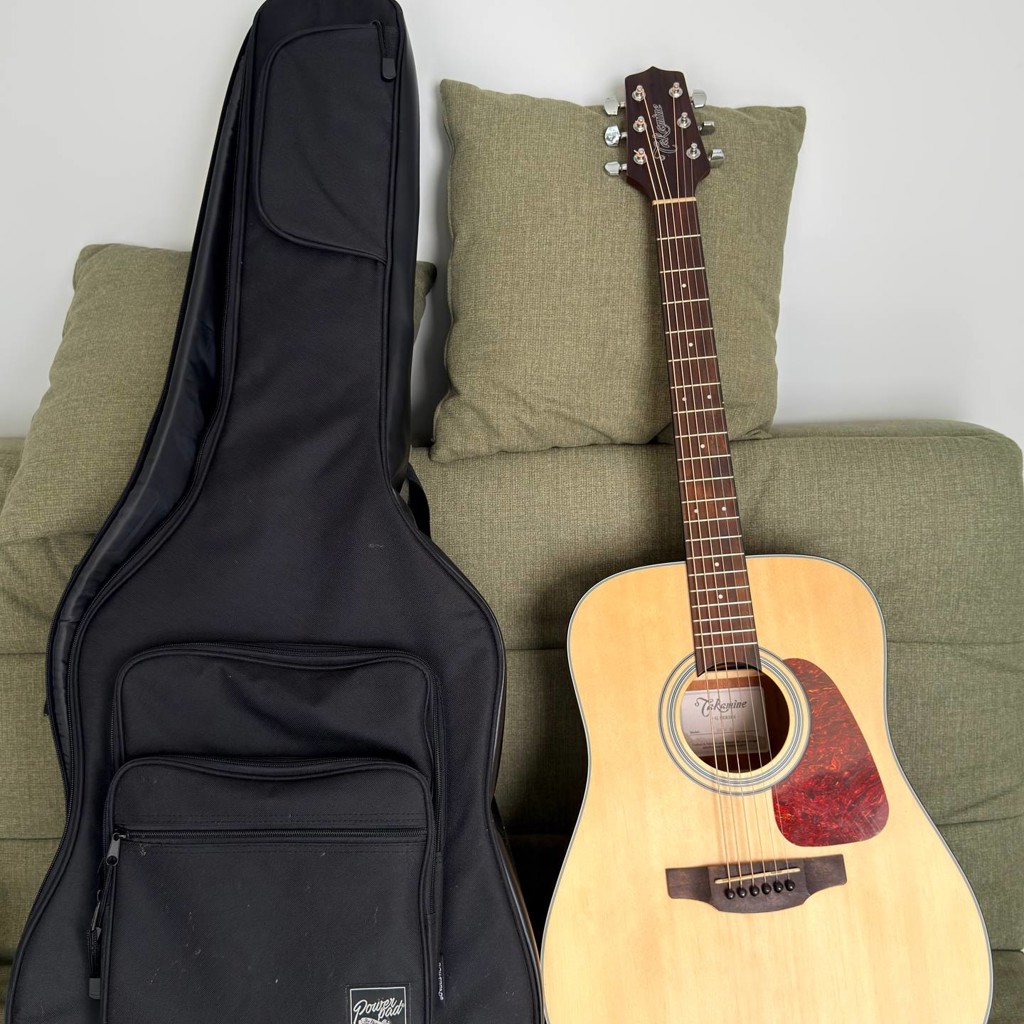Гитара Takamine G-series